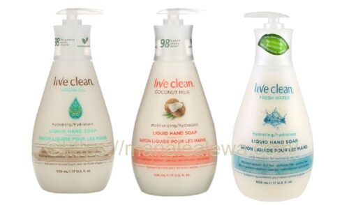 live-clean-hand-wash-product