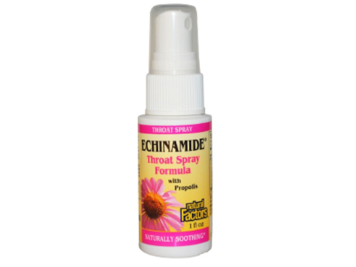 natural-factors-echinamide-throat-spray-image
